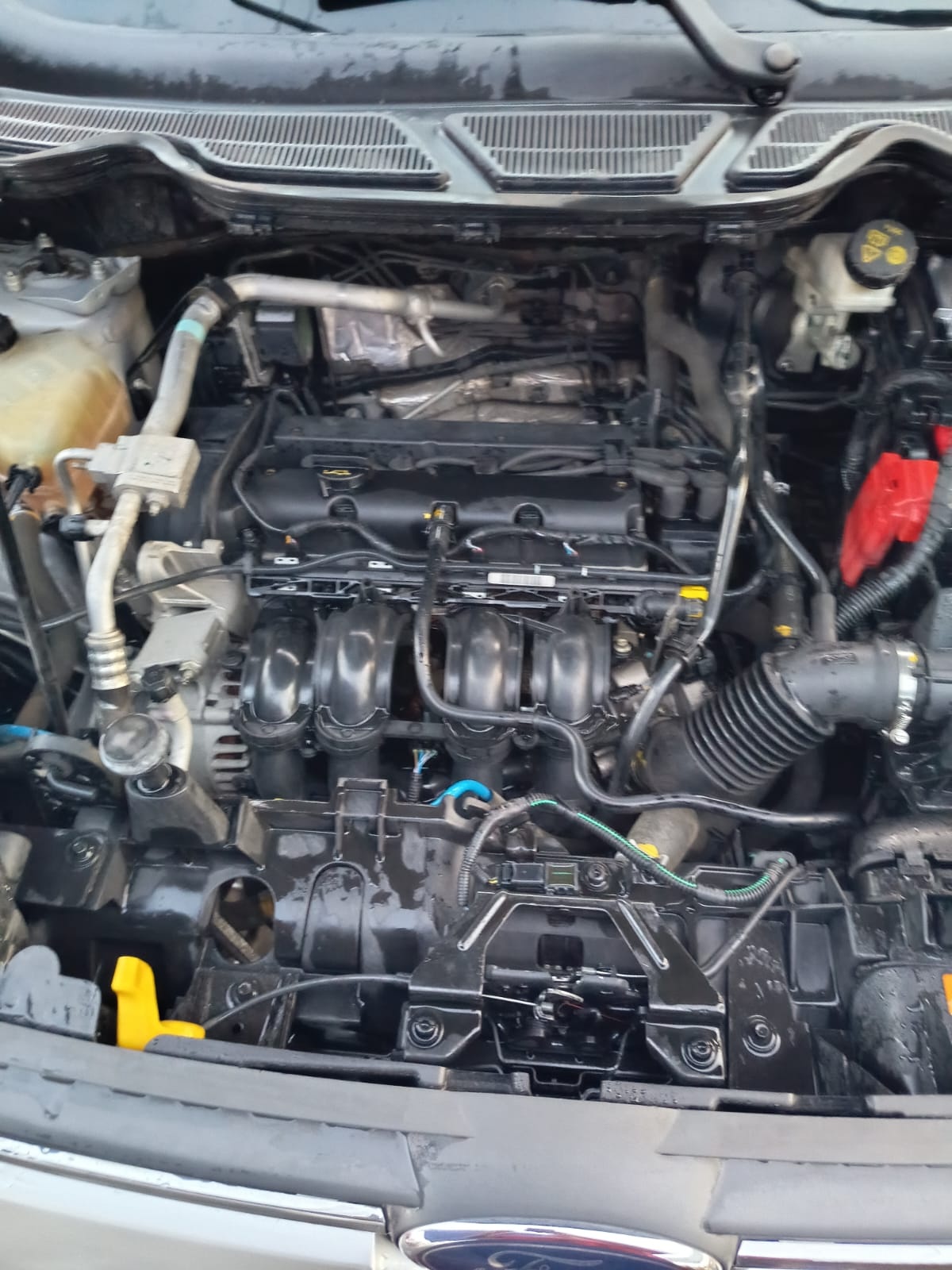 Scanner Chery Padre Hurtado Borrar Testigo Check Engine